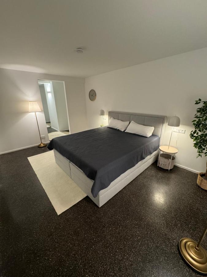 Isaak Appartment Stadtjuwel Waldshut-Tiengen Εξωτερικό φωτογραφία