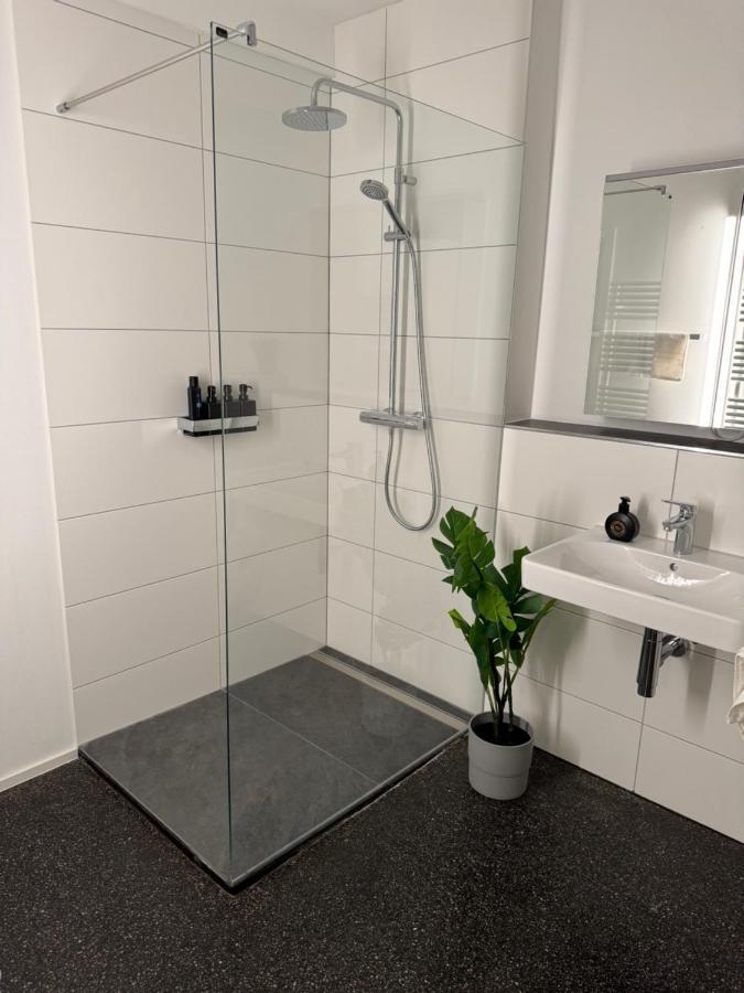 Isaak Appartment Stadtjuwel Waldshut-Tiengen Εξωτερικό φωτογραφία