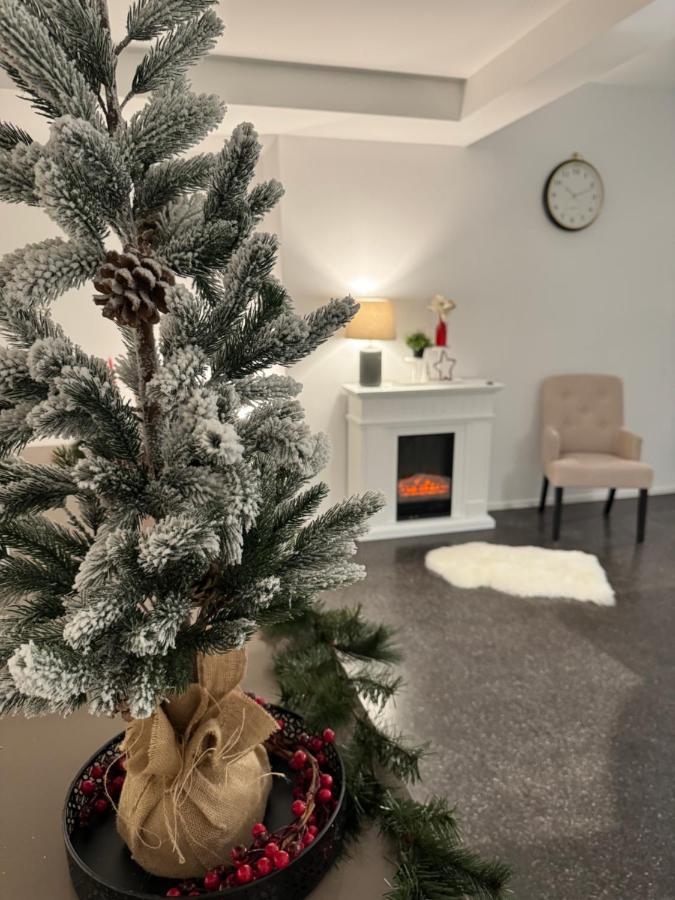 Isaak Appartment Stadtjuwel Waldshut-Tiengen Εξωτερικό φωτογραφία