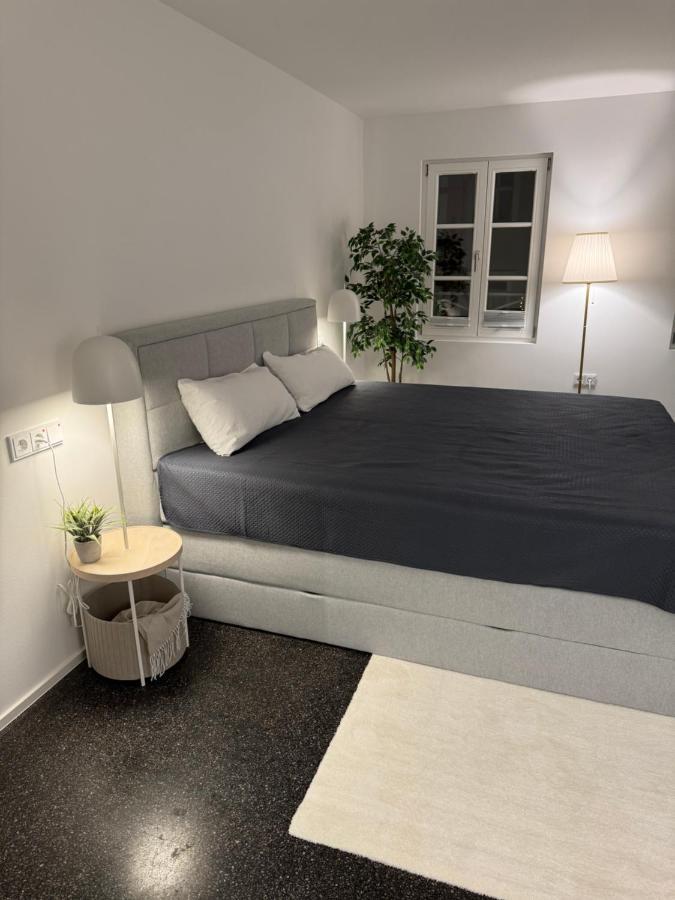 Isaak Appartment Stadtjuwel Waldshut-Tiengen Εξωτερικό φωτογραφία